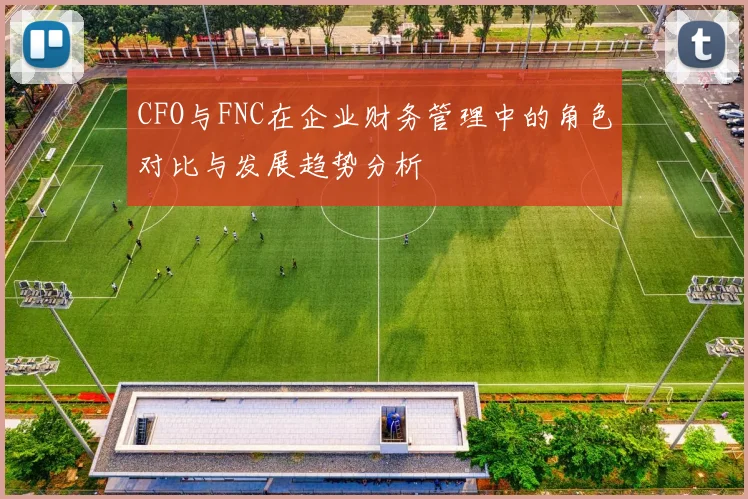 CFO与FNC在企业财务管理中的角色对比与发展趋势分析