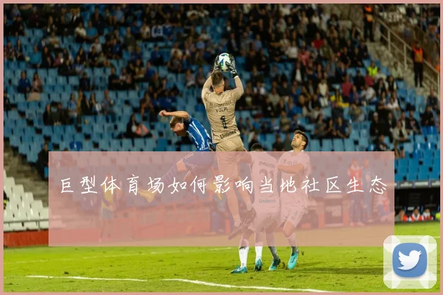 巨型体育场如何影响当地社区生态
