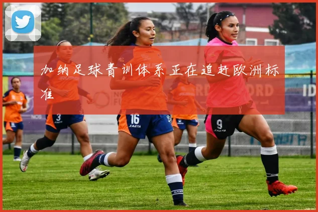 加纳足球青训体系正在追赶欧洲标准