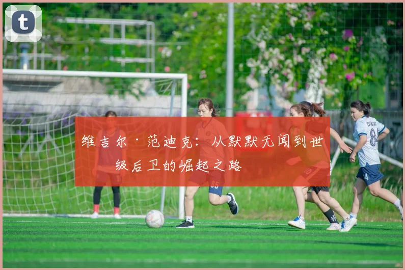 维吉尔·范迪克：从默默无闻到世界级后卫的崛起之路